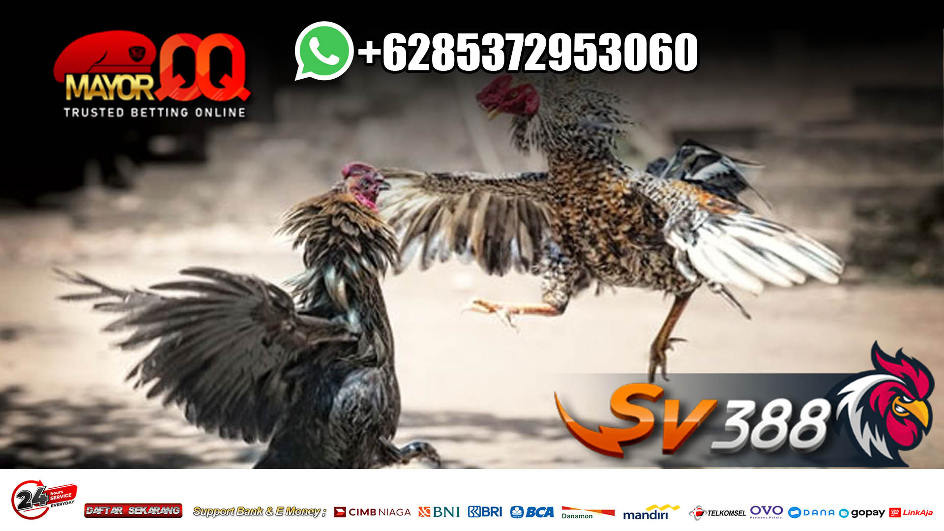 Agen Sabung Ayam – Sudah Tau Tentang Meron Dan Wala Pada Sabung Ayam Online